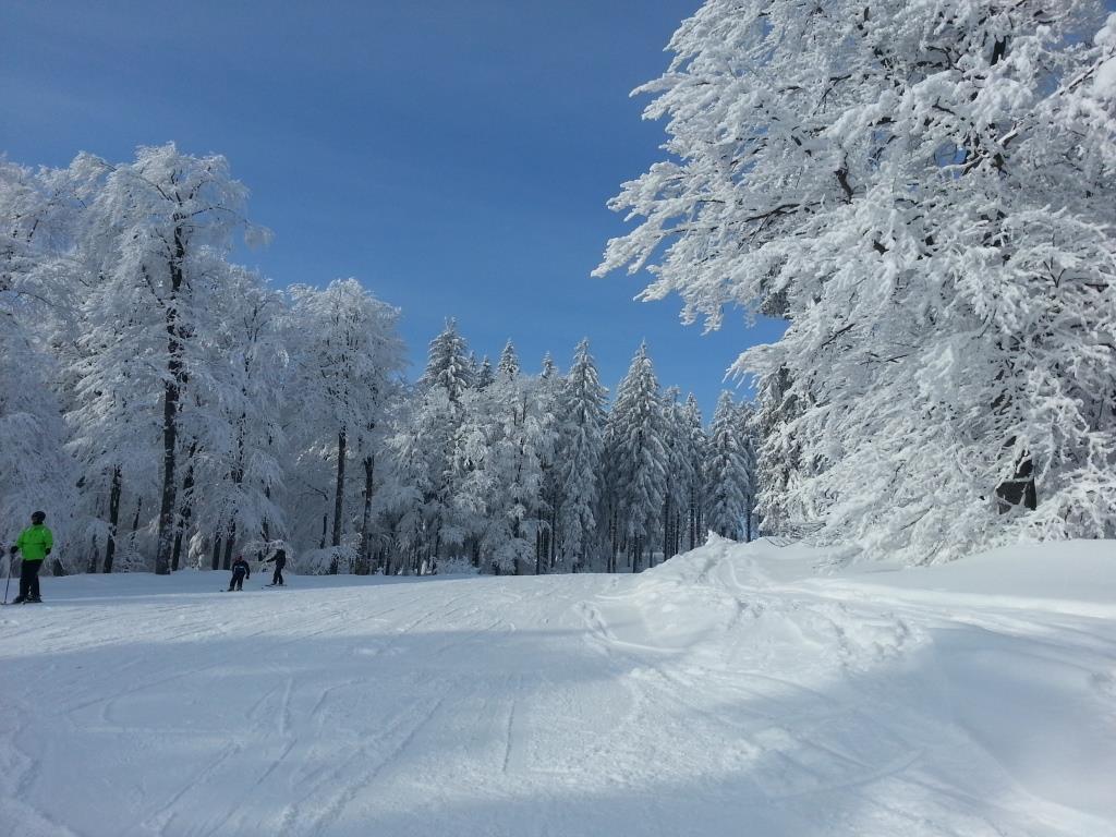 Boehmerwald Pur2 Klaffer am Hochficht Exterior foto